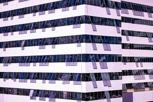 九游APP-体育新闻中心建设体育数字内容版权保护体系，体育数据新闻