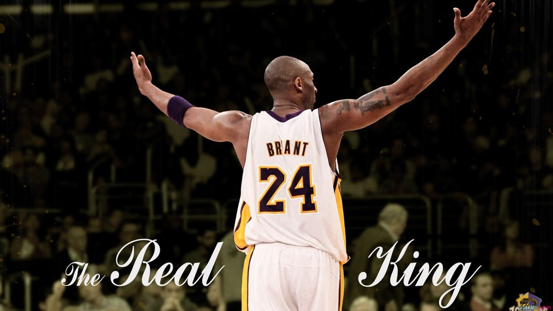 _极地冰雪运动体验馆:都市中的白色奇迹_,极地冰镇